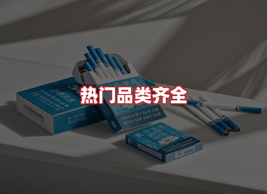 专业团队